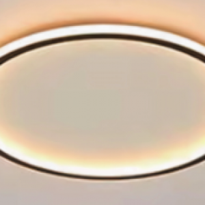 Personalized Round LED Ceiling Lamp